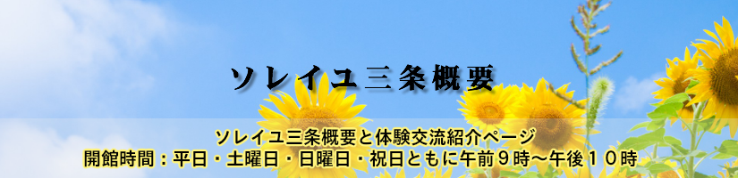 ソレイユ三条概要